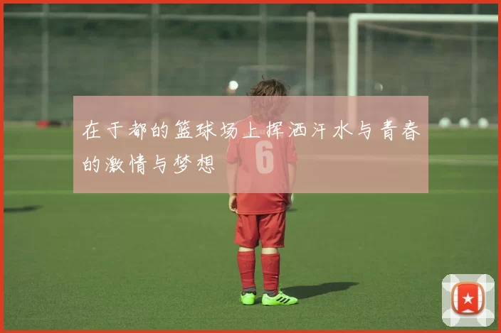 在于都的篮球场上挥洒汗水与青春的激情与梦想