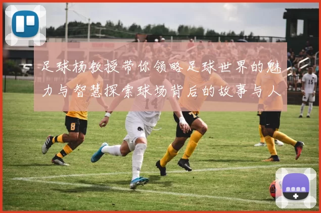 足球杨教授带你领略足球世界的魅力与智慧探索球场背后的故事与人生哲学