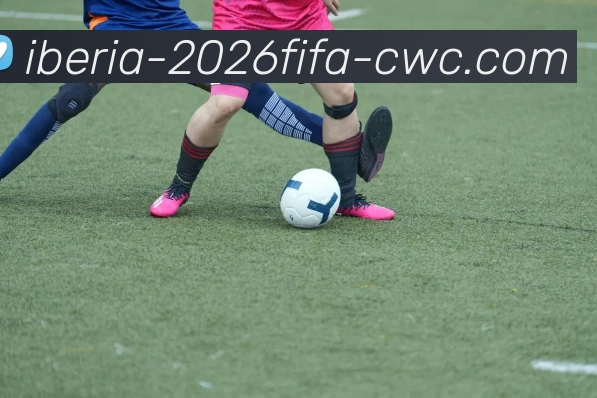 FIFA中文发展历程